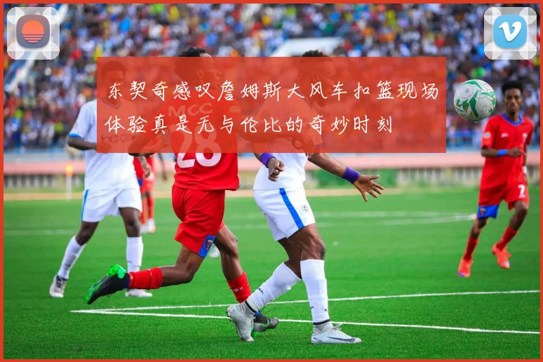 东契奇感叹詹姆斯大风车扣篮现场体验真是无与伦比的奇妙时刻