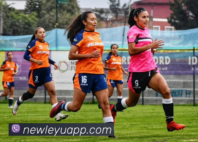 乐鱼体育平台生态图